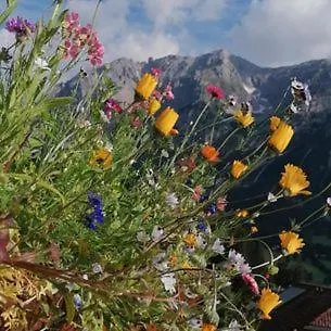 Bellevue * Ramsau am Dachstein